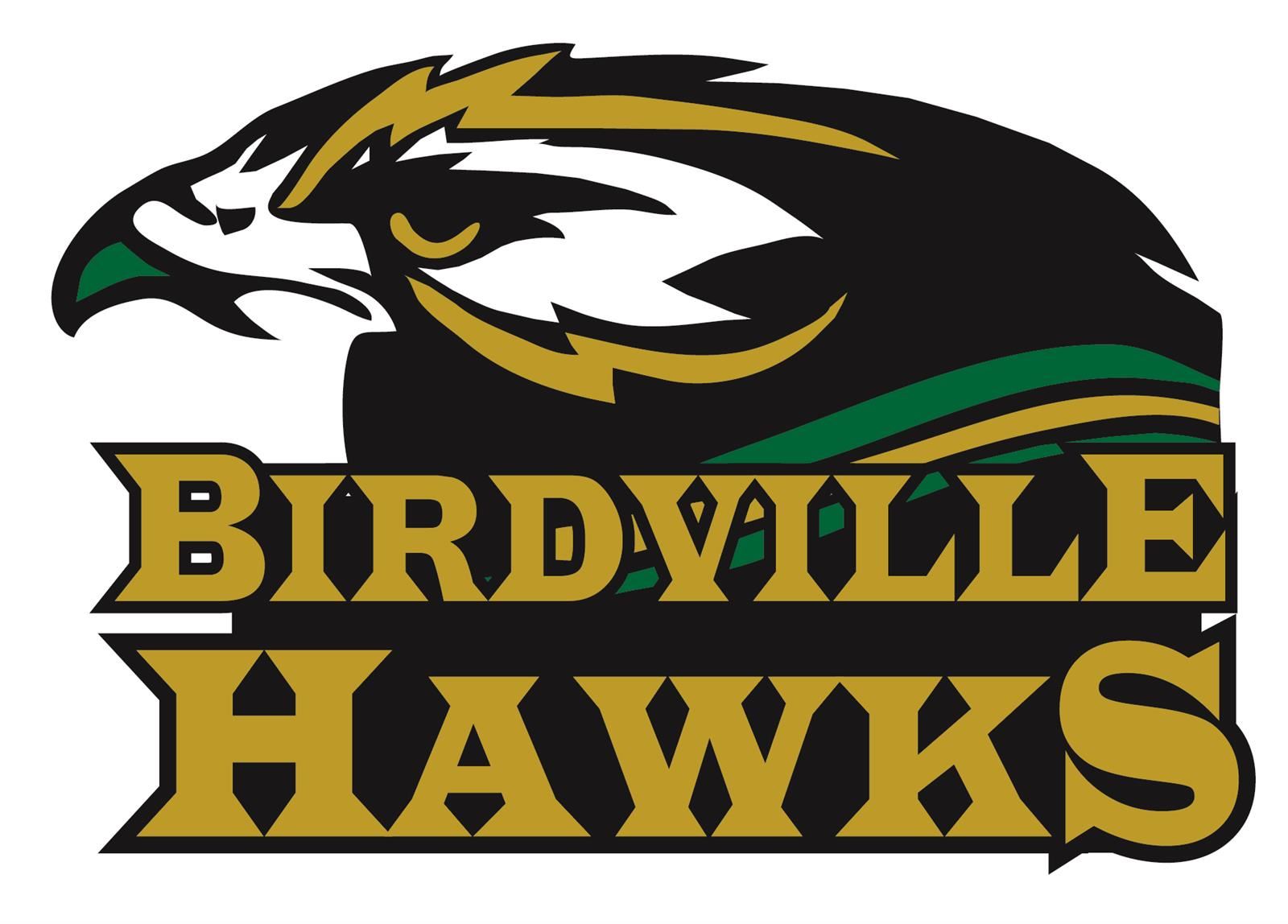 Birdville Hawks logo