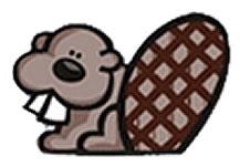 beaver