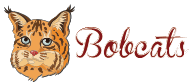 Bobcat