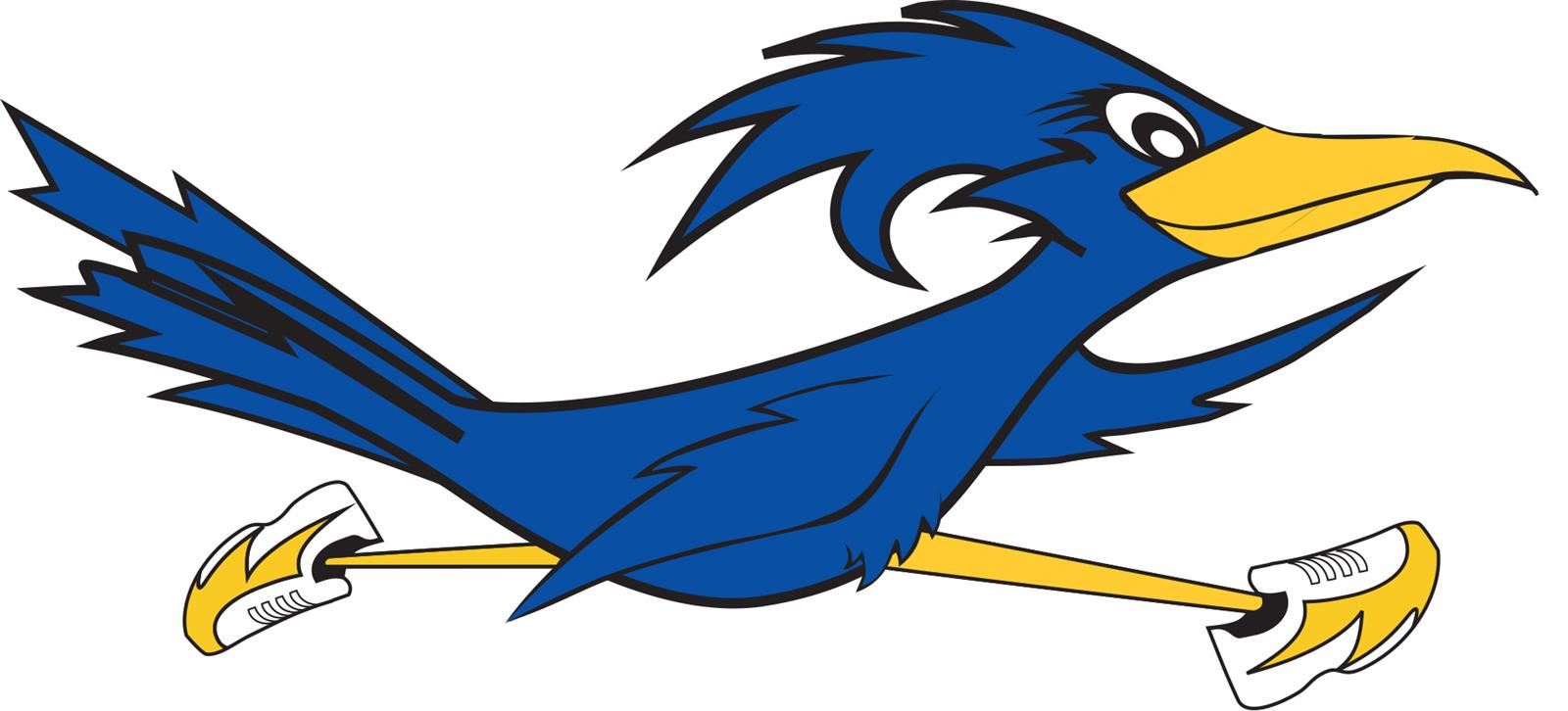 roadrunner