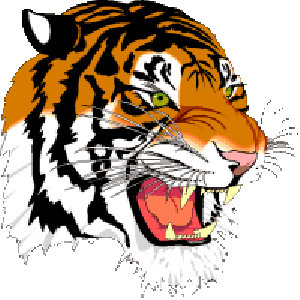 tiger