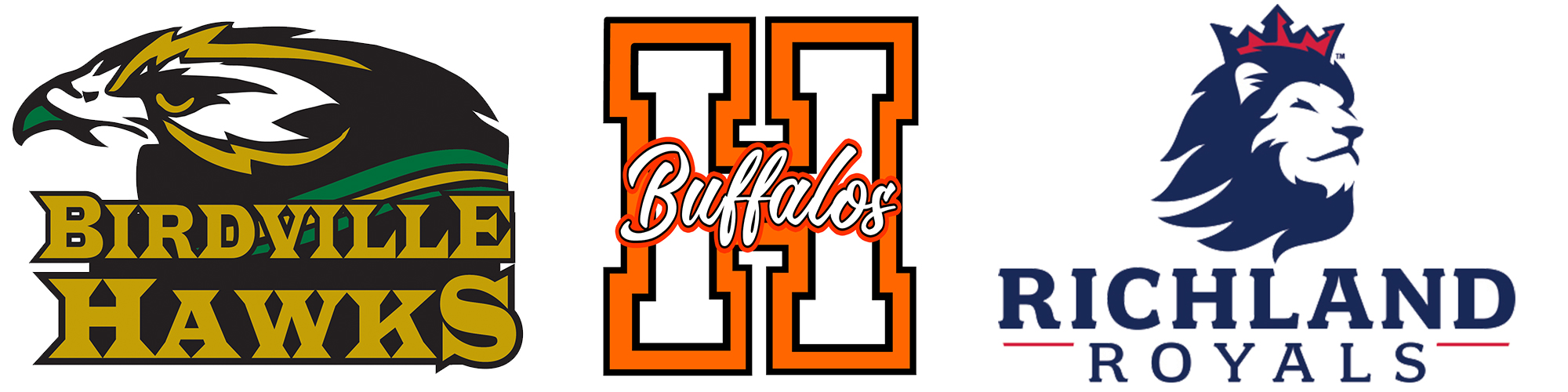  Birdville, Haltom and Richland HS logo
