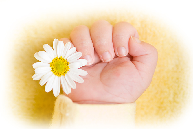 baby hand with flower