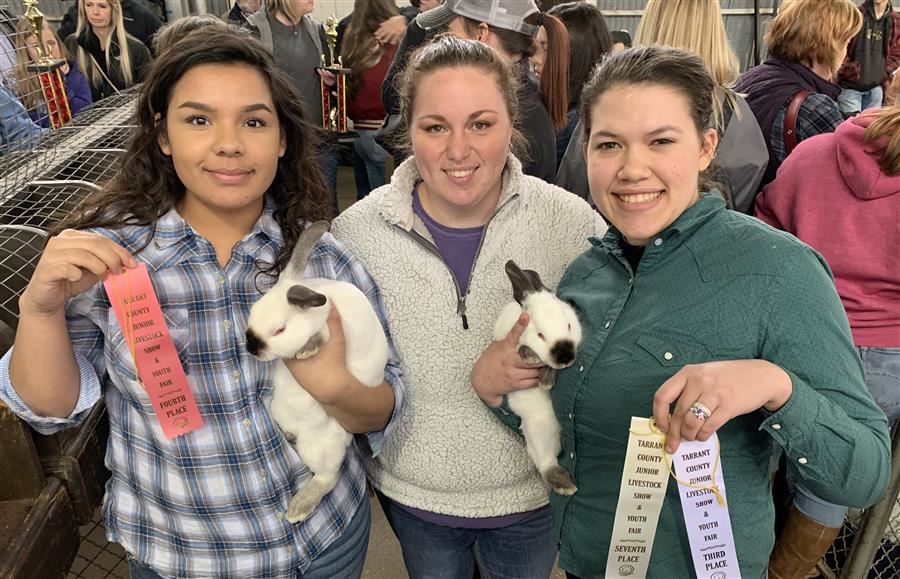 Vet Tech Students Competing at Fort Worth Stock Show 